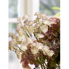 New artificial flowers_Sostrene Grene_Available from 31 July 2025 (3).jpg